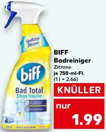 Kaufland BIFF Badreiniger Angebot