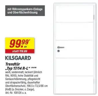 toom Baumarkt KILSGAARD Trendtür "Typ 17/14 R-L" Angebot