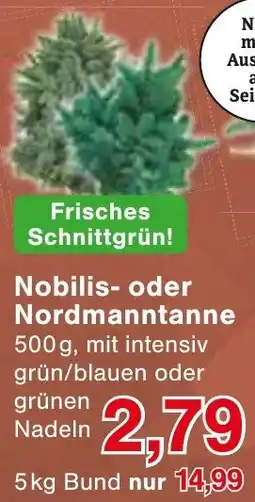Wiglo Wunderland Nobilis- oder Nordmanntanne Angebot