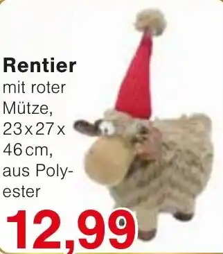 Wiglo Wunderland Rentier Angebot