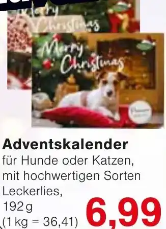 Wiglo Wunderland Adventskalender Angebot