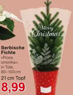 Wiglo Wunderland Serbische Fichte Angebot