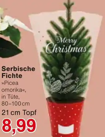 Wiglo Wunderland Serbische Fichte Angebot