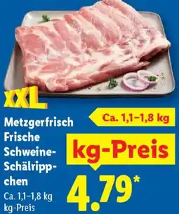 Lidl Metzgerfrisch Frische Schweine Schälrippchen Angebot