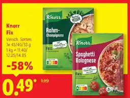 Lidl Knorr Fix Angebot
