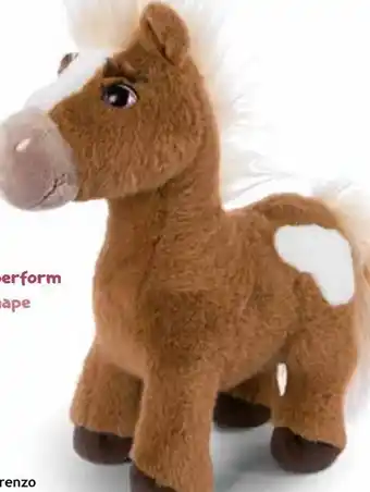 Nici Pony Lorenzo Angebot