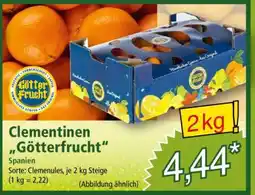 Norma Clementinen „Götterfrucht“ Angebot