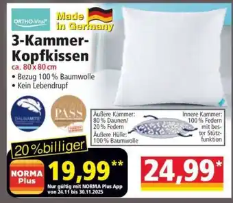 Norma 3-Kammer- Kopfkissen Angebot