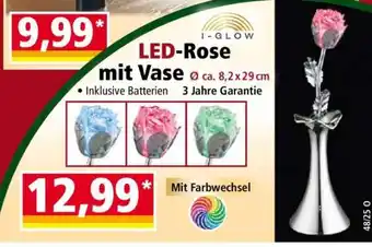 Norma LED-Rose mit Vase Angebot