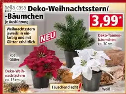 Norma Deko-Weihnachtsstern/-Bäumchen Angebot