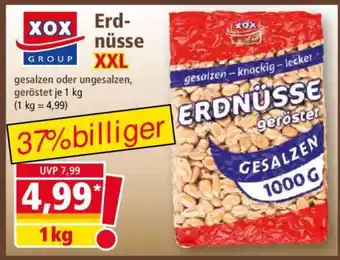 Norma Erdnüsse XXL Angebot