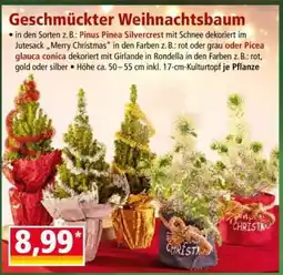 Norma Geschmückter Weihnachtsbaum Angebot