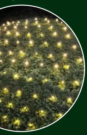 Thomas Philipps LED-Lichternetz Angebot