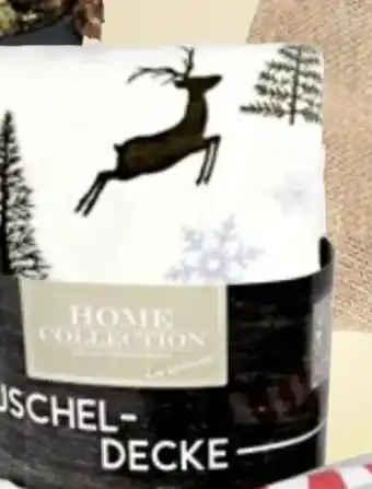 Thomas Philipps Kuscheldecke Angebot