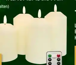 Thomas Philipps LED-Echtwachskerzen Angebot