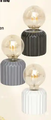 Thomas Philipps LED-Glühbirnen Angebot