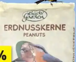 Thomas Philipps Bird's Garden Erdnusskerne Angebot