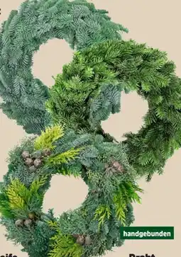 Thomas Philipps Adventskranz Nobilis Angebot