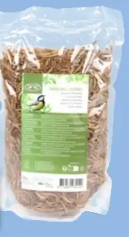 Thomas Philipps Mehlwürmer Angebot