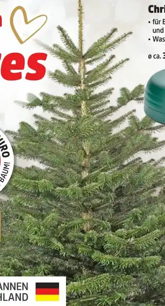 Thomas Philipps Nordmanntannen Angebot