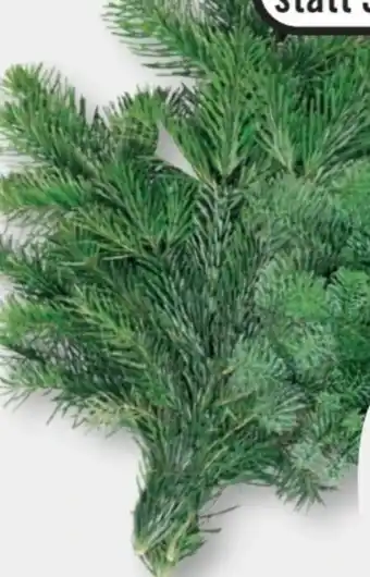 B1 Discount Baumarkt Tannen-Handbunde Angebot