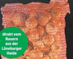 Thomas Philipps Speisezwiebeln XXL Angebot