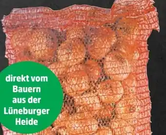 Thomas Philipps Speisezwiebeln XXL Angebot