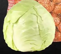 Thomas Philipps Weißkohl Angebot