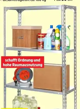 Thomas Philipps Metall-Kellerregal Angebot