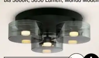 Ostermann Mondo Deckenleuchte Karena Angebot