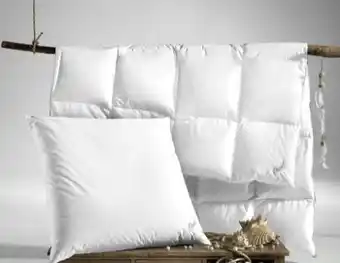 Ostermann Künsemüller Ganzjahresbetten Pearl Angebot