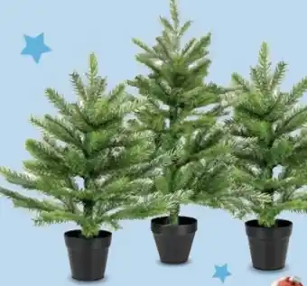 Trends Möbel Weihnachtsbaum Grandis Angebot