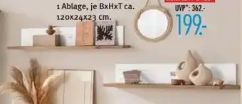 Trends Möbel Sansibar Wandboard Poel Angebot