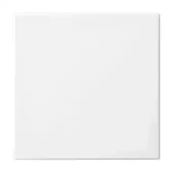 toom Baumarkt Busch-Jaeger Universalwippe Balance SI Angebot