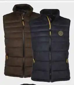 AWG Mode Jim Spencer Herren Steppweste Angebot