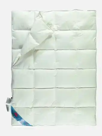 AWG Mode Schwarzwald Daunendecke Angebot