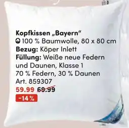 AWG Mode Bayern Kopfkissen Angebot