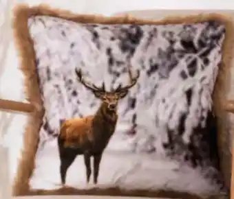 AWG Mode Deko-Kissen Angebot