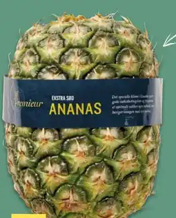 NETTO Premieur Ananas Angebot