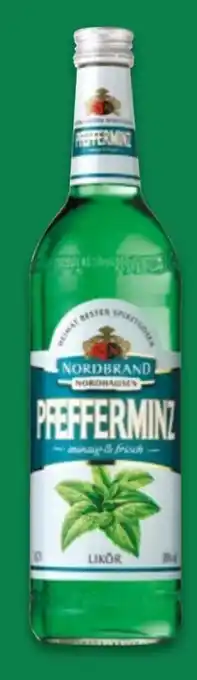 NETTO Nordbrand Nordhausen Pfefferminzlikör Angebot