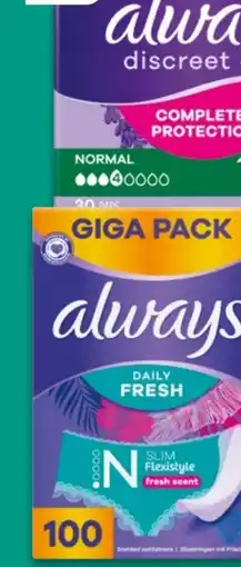 NETTO Always Daily Fresh Slipeinlagen Angebot