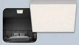 NETTO Briloner Leuchten LED-Deckenleuchte Sternenhimmel Angebot