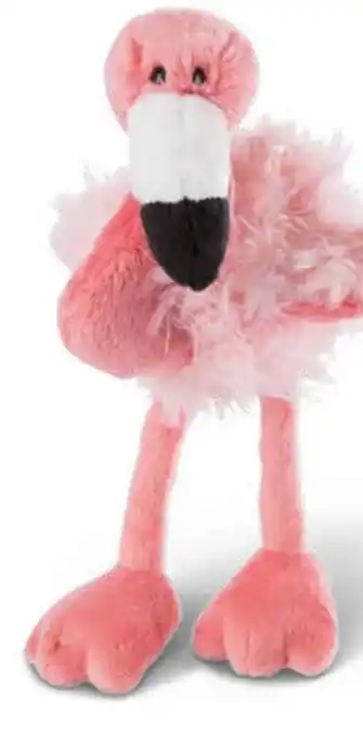 Nici Flamingo Angebot