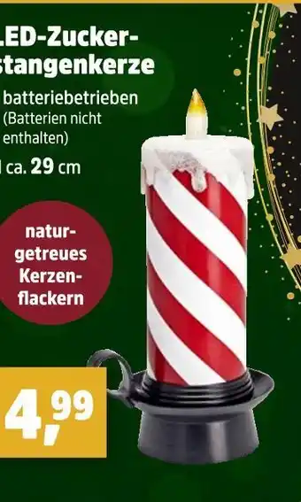 Thomas Philipps Led-zucker-stangenkerze Angebot