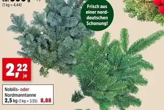 Thomas Philipps Nobilis Angebot