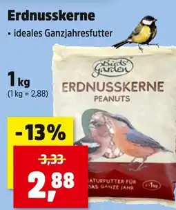 Thomas Philipps Birds garden erdnusskerne Angebot