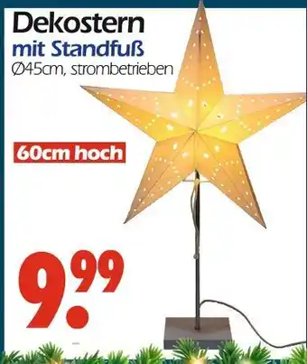 Wreesmann Dekostern Angebot