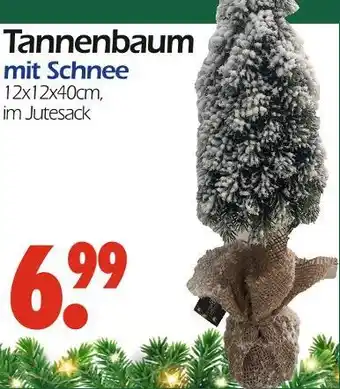 Wreesmann Tannenbaum mit schnee Angebot