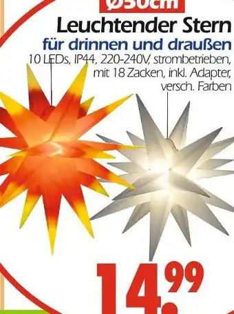 Wreesmann Leuchtender stern Angebot