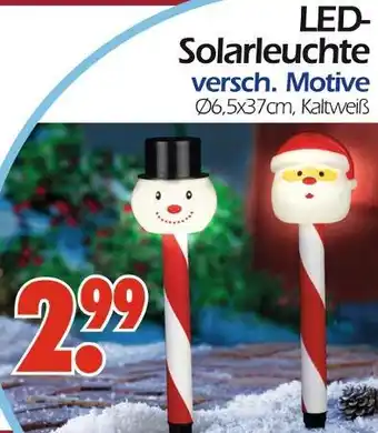Wreesmann Led-solarleuchte Angebot